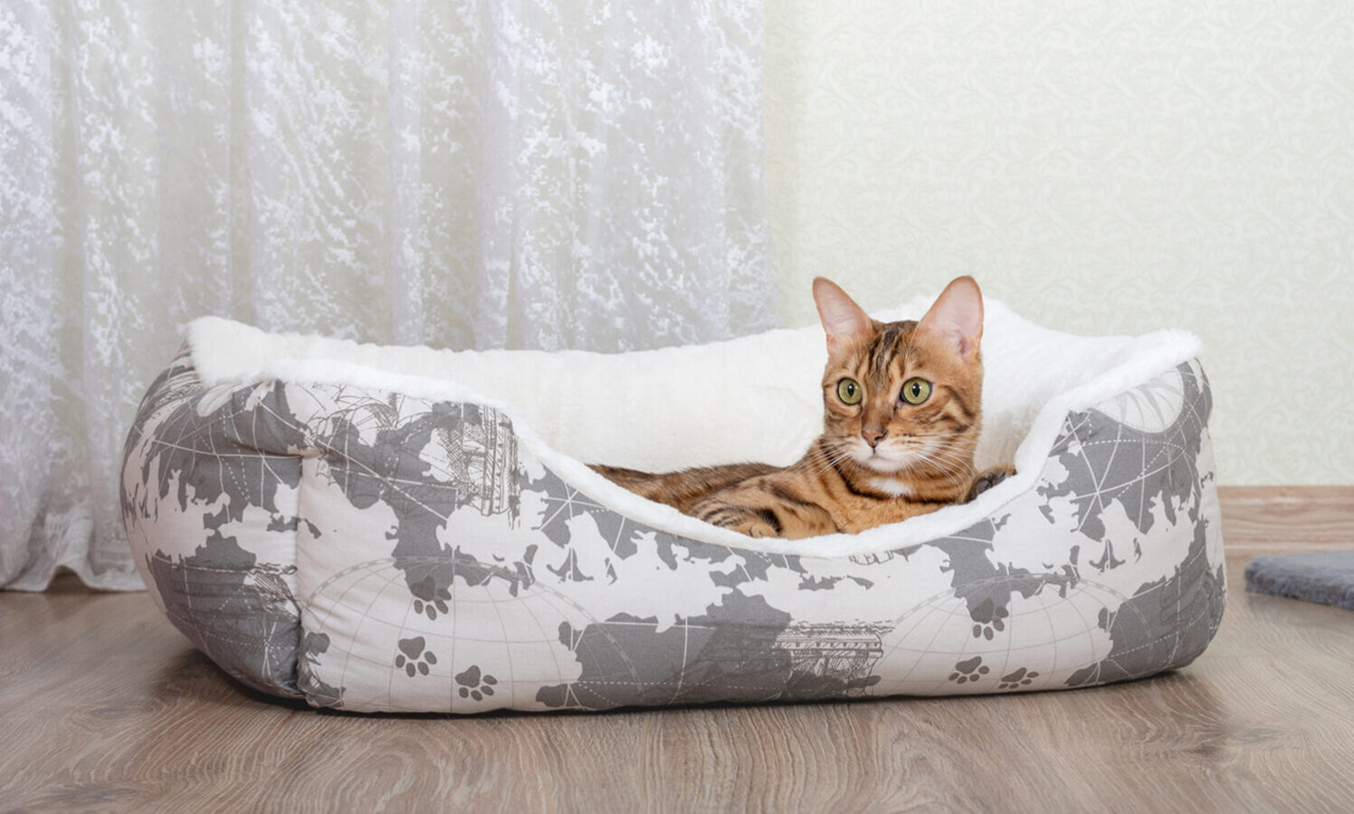 Read more about the article Hodowle (pseudo hodowcy)