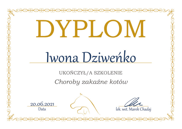 Read more about the article Dyplom – choroby zakaźne kotów