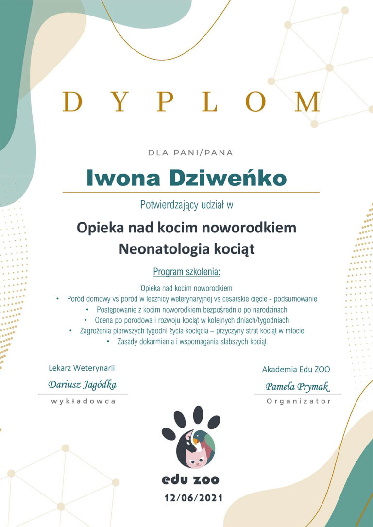 Read more about the article Dyplom – opieka nad kocim noworodkiem Neonatologia kociąt