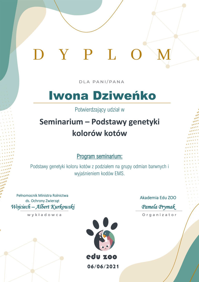 Read more about the article Dyplom – seminarium – podstawy genetyki kolorów kotów