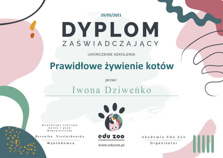 Read more about the article Dyplom – prawidłowe żywienie kotów